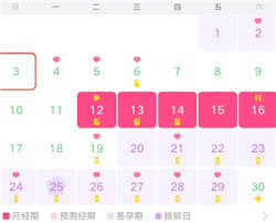 美柚备孕期怎么用记录