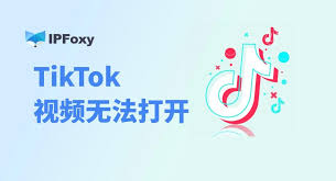 TikTok视频无法上传的原因是什么