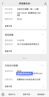 藏宝阁提现要多久才能到账