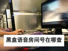 黑盒语音如何查询设备登录记录