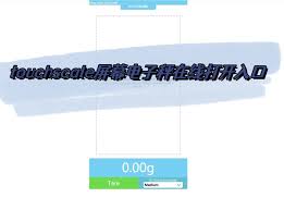 touchscale测量在线入口在哪