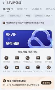 夸克svip不能云收藏的原因