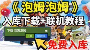 泡姆泡姆流程视频是什么