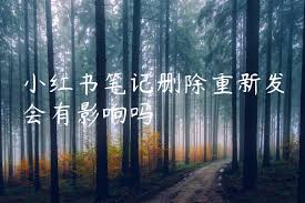 小红书笔记删除后重发有无影响