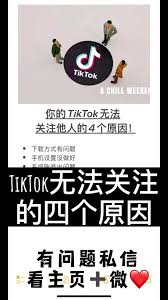 tiktok如何关注用户