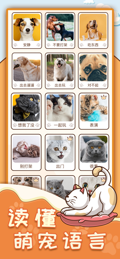动物翻译器官网版