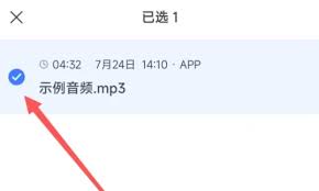 如何删除讯飞听见录音