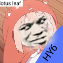 pvzhy免费版
