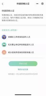 智慧人社平台支持的养老认证方式有哪些