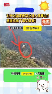 B站影库最新入口在哪