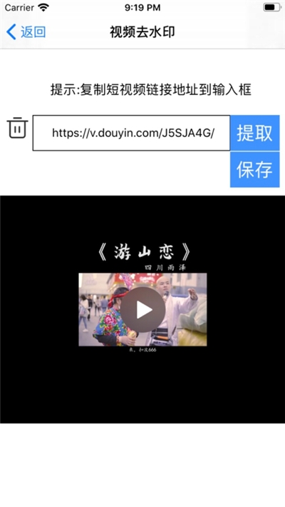 视频水印专家软件官网版