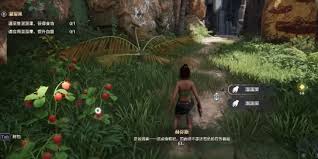 荒野起源美食如何制作