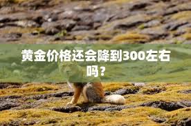 金价是否会降到三百多
