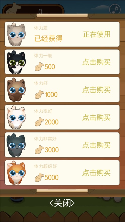 养只小猫咪