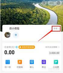 支付宝小荷包如何修改使用金额