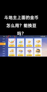 欢乐斗地主金币有什么作用