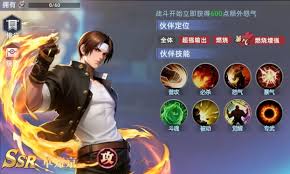 全明星觉醒二阶堂红丸怎么样