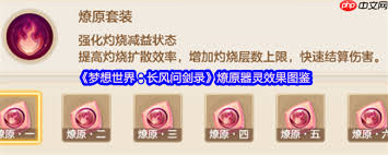 梦想世界燎原器灵怎么解析