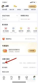 百度网盘怎么开启尊享黑金logo