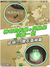 最终幻想14水晶世界神奇小松鼠在哪