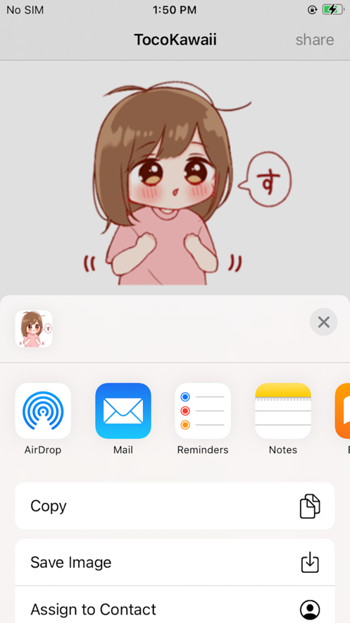 TocoKawai手机版