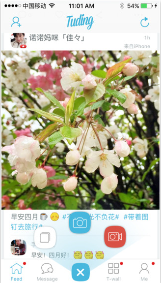 图钉免费版