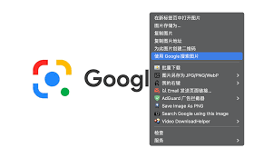 谷歌识图在线识别怎么用
