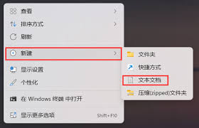 Windows11系统中IE浏览器不见了怎么办