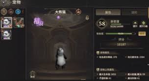 奇迹世界起源战士选什么宠物好