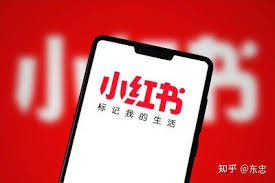 发小红书没人赞怎么办