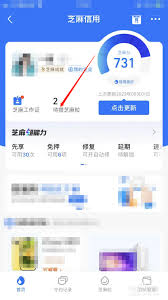 支付宝芝麻粒会过期吗