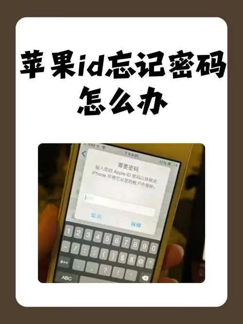 苹果手机id双重接收不了是怎么回事