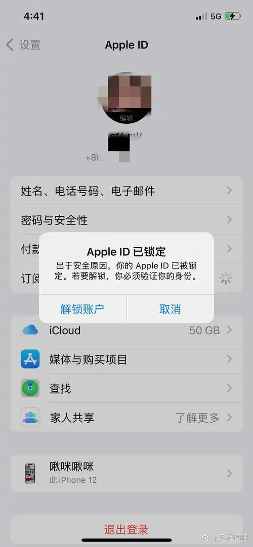苹果手机id双重接收不了是怎么回事