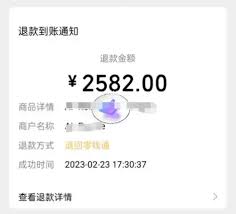 提交退款后多久回账啊