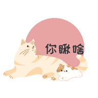 猫咪日记官网版