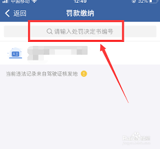 如何开通12123里缴纳违章罚款