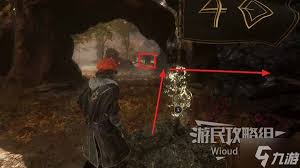 光与影33号远征队簪花镰怎么获取