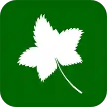 爬山虎灵活用工最新版