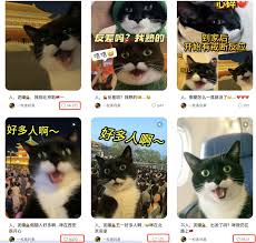 即梦ai如何制作ai猫狗短视频教程