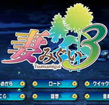 妻中蜜最新版