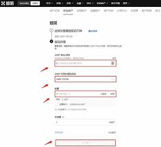 usdt币怎么提现成人民币