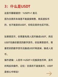币圈新手适合买哪种币