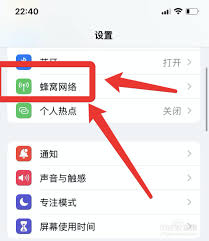 如何查看苹果手机流量