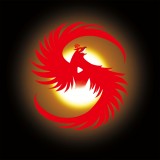 琅琊短视频官方正版