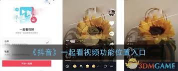 抖音一起看直播功能在哪