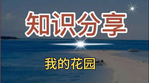 我的花园世界元宝怎么使用