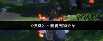 伊莫日耀狮宠物怎么全解析