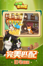猫猫爱经营公测时间是什么时候