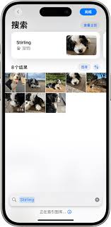 iPhone17promax怎么使用看图查询识别图片内信息