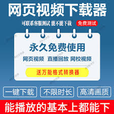 钉钉如何查看直播回放